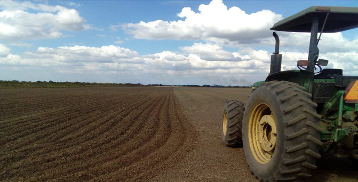 agricultura1